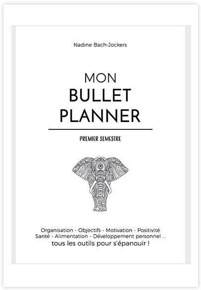 Mon-bullet-planner-développement-personnel les aventures d'emma tome 2