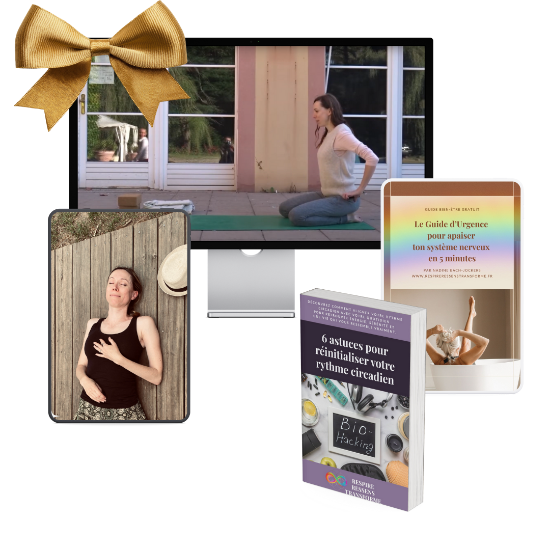 RRT Box ressources gratuites santé nutrition fonctionnelle