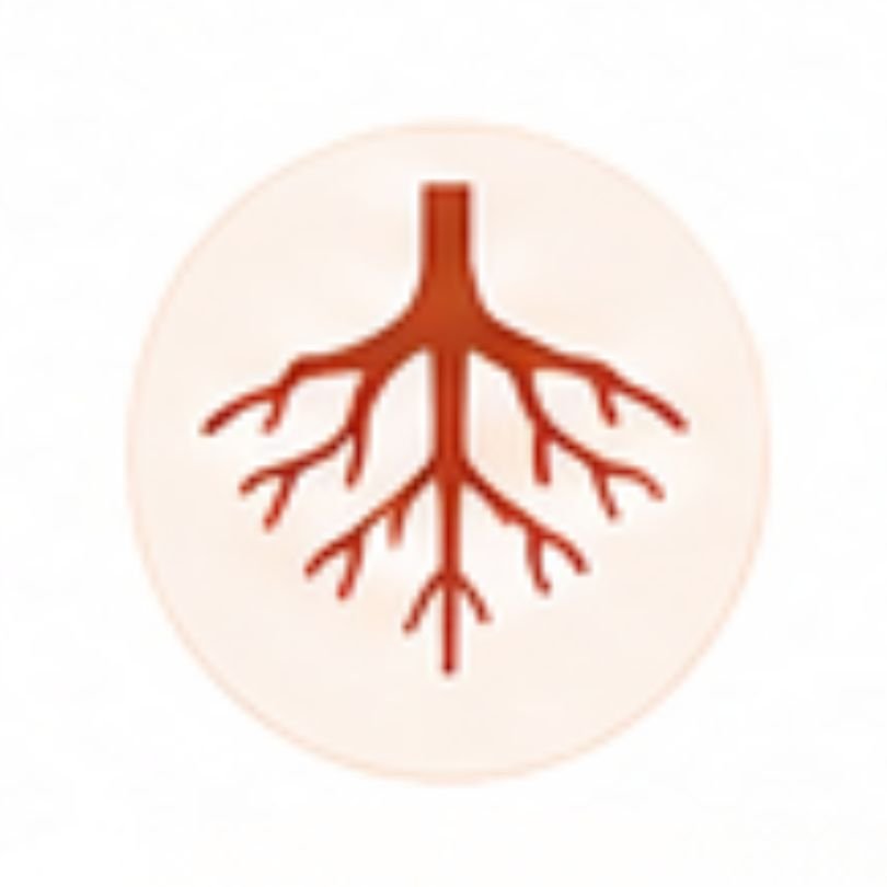 racine dola programme menopause perimenopause racine dola programme menopause perimenopause