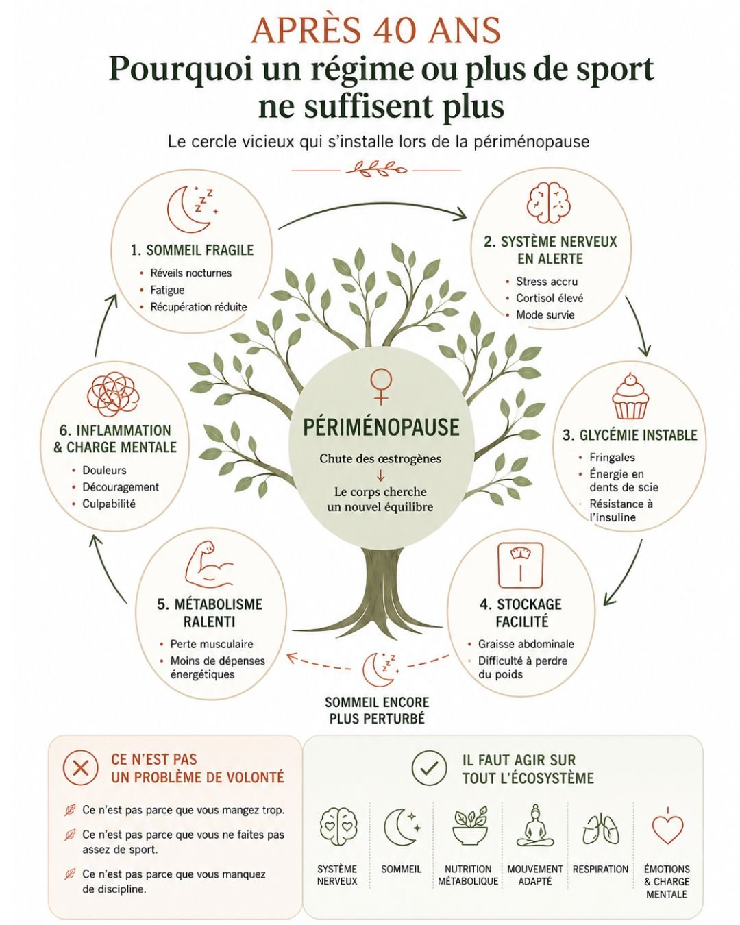 santé naturelle préménopause ménopause