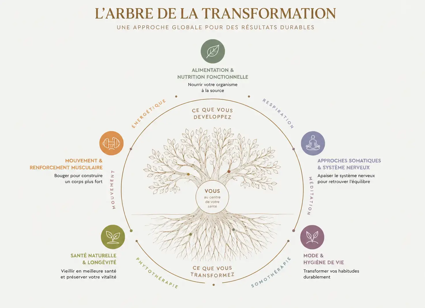 Arbre de la transformation RRT